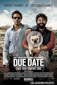 Due Date (2010) Hindi Dubbed