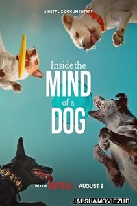 Inside the Mind of a Dog (2024) Hindi Dubbed