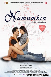 Namumkin Tere Bin Jeena (2020) Hindi Movie