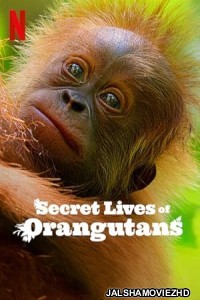 Secret Lives of Orangutans (2024) Hindi Dubbed